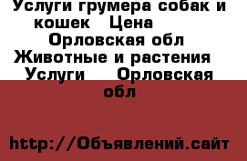 Услуги грумера собак и кошек › Цена ­ 700 - Орловская обл. Животные и растения » Услуги   . Орловская обл.